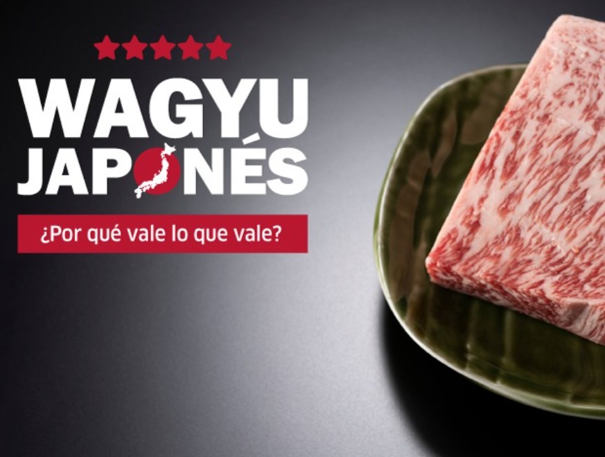 Lomo Wagyu Japones A5 (MIYAZAKI) sin hueso - Imagen 3